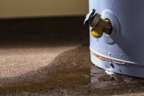 Best Residential water damage restoration  in Canton, TX