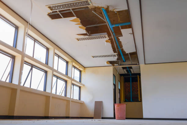 Best Local water damage restoration  in Canton, TX