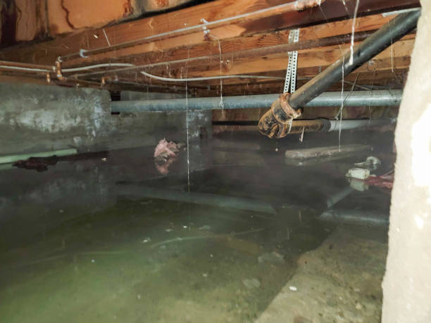  Canton, TX Water damage restoration Pros