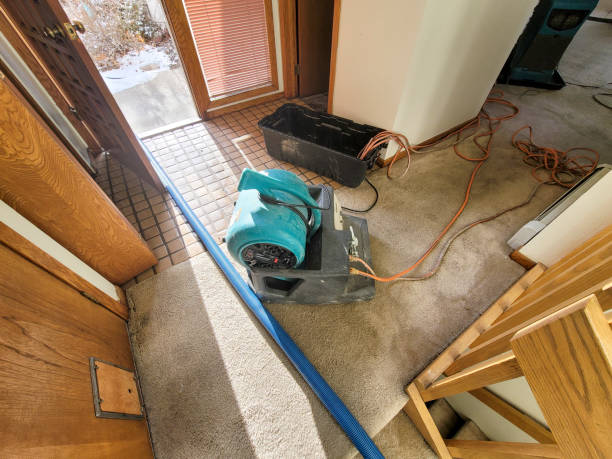 Best Flood damage cleanup  in Canton, TX