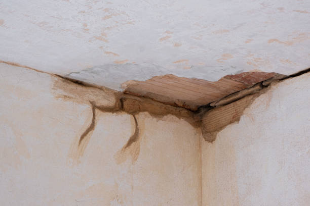 Best Flood damage cleanup  in Canton, TX