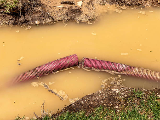 Best Water damage restoration near me  in Canton, TX