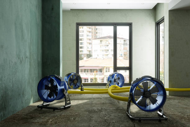 Best Water damage restoration near me  in Canton, TX